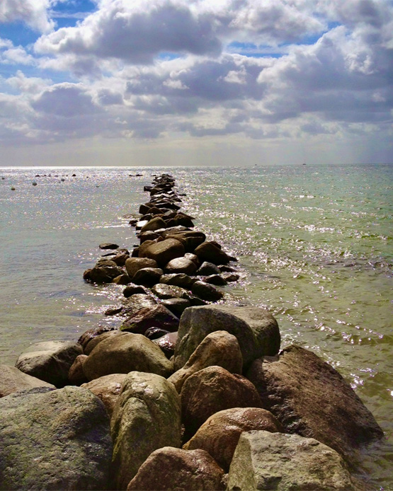 Coaching Anett Scholze